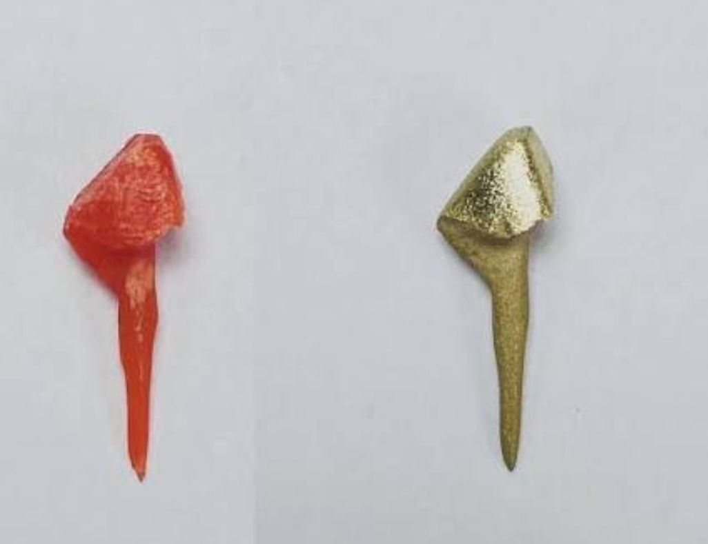 photo 2026 10 09 11 34 30